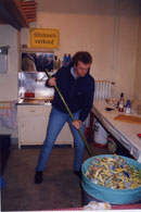 Silvester